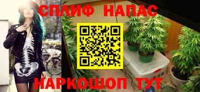 ПСИЛОЦИБИНОВЫЕ ГРИБЫ Кунгур