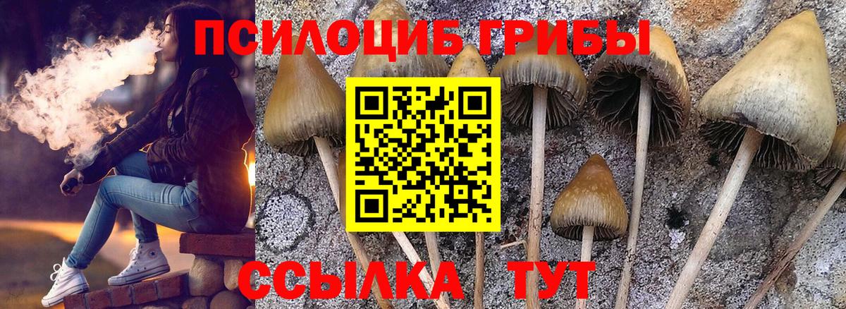 Гусь-Хрустальный  Вход с VPN  Меф   Канабис 