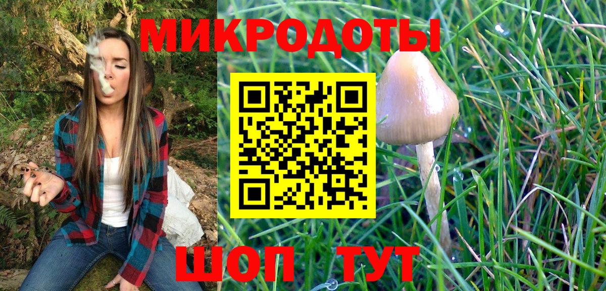 Псилоцибиновые грибы Psilocybine cubensis Гусь-Хрустальный